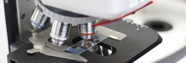 Laboratorio en Salud Oral