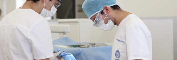 Estudiantes de la escuela de odontología